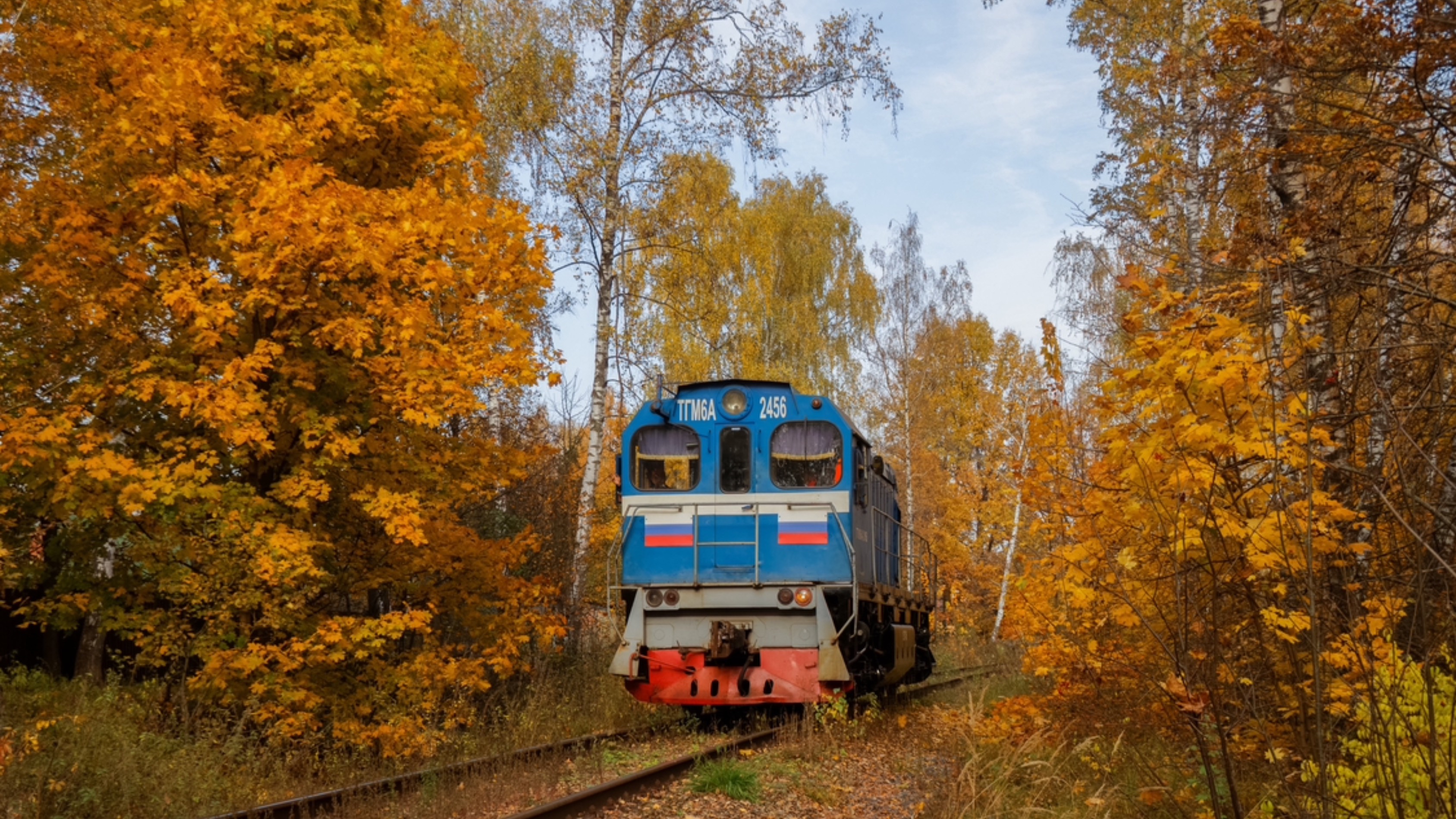 «Пробирается сквозь золотую осень» ТГМ6А-2456 следует по перегону Карьер-Купавна