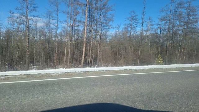 Федерация трасса