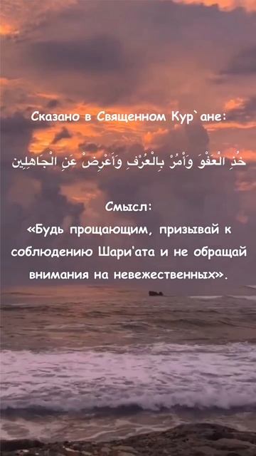Что в Куране говорится о культуре верующего? Шейх Шамиль аш-Шафиий.