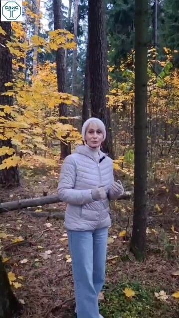 Митохондрии. Важное от врача интегративной медицины.