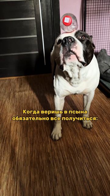 Copy_5463B25A-