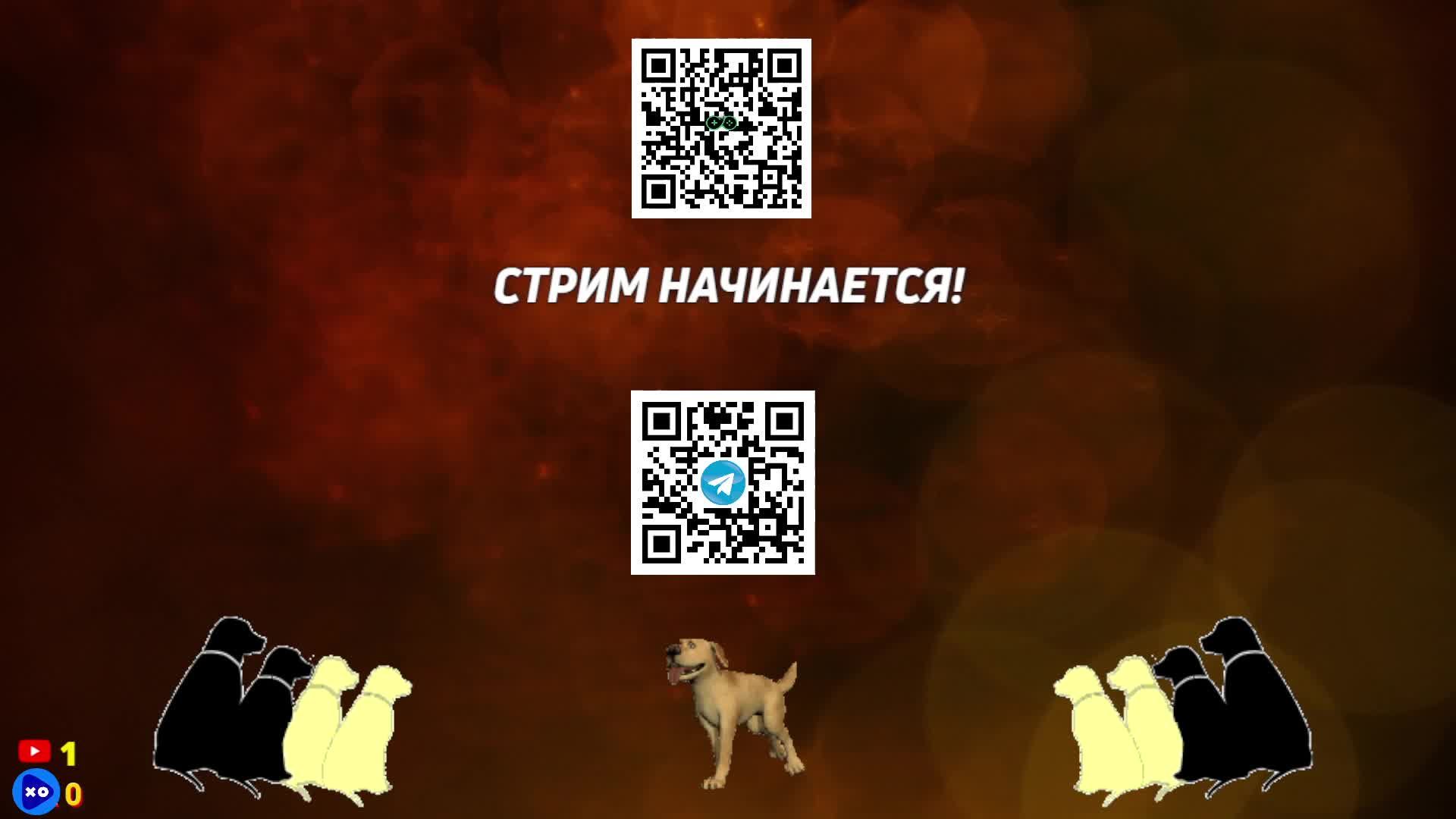 СРОЧНАЯ 🔥 ЧАТ РУЛЕТКА!