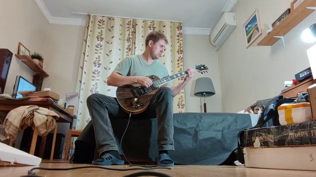Обзор сборки и звука доработанной китайской реплики Gibson Les Paul Custom зебрано