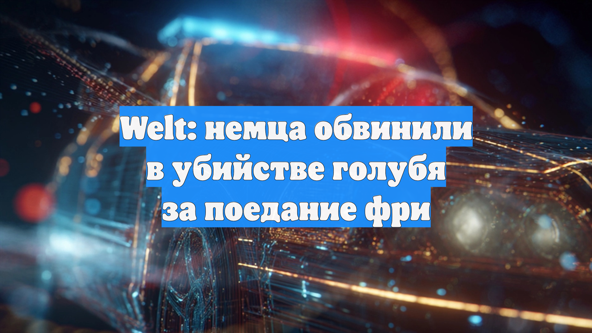 Welt: немца обвинили в убийстве голубя за поедание фри