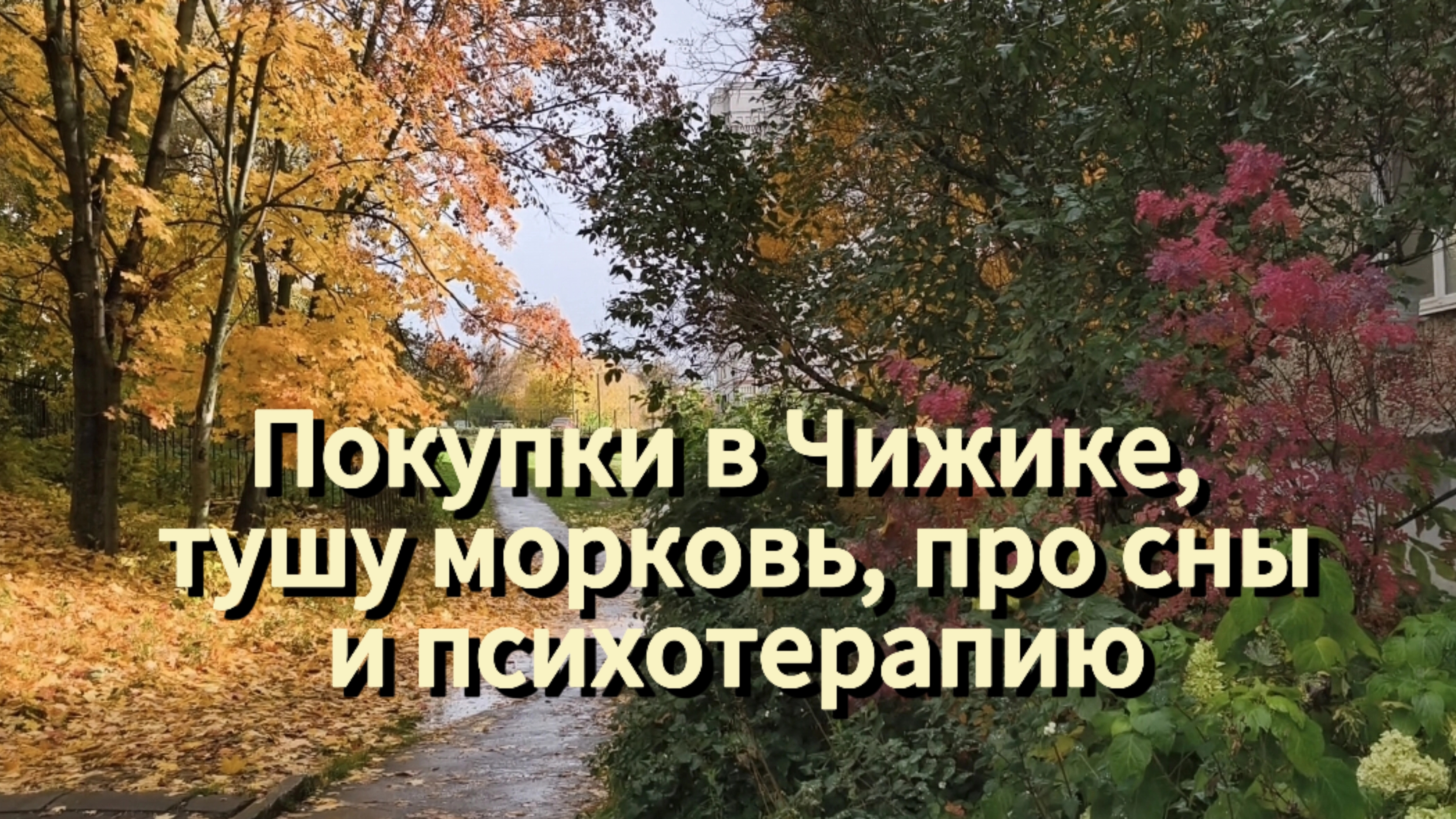 Покупки в Чижике тушу морковь про сны и психотерапию