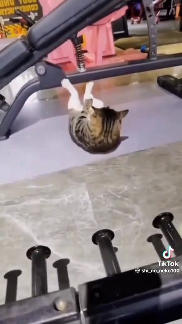 расмиши себя 🤣🤣🤣