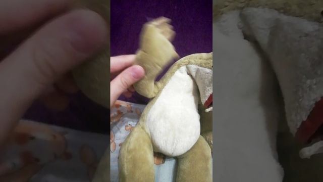 Самое короткое видео название:пр.