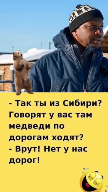 Говорят у вас медведи по дорогам ходят?🤩