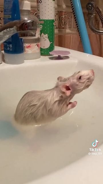 отправь своим 