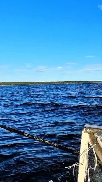 Погода шепчет!