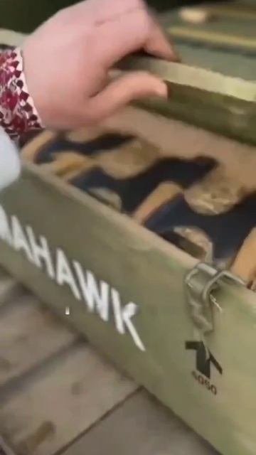 Томогавки уже на украине