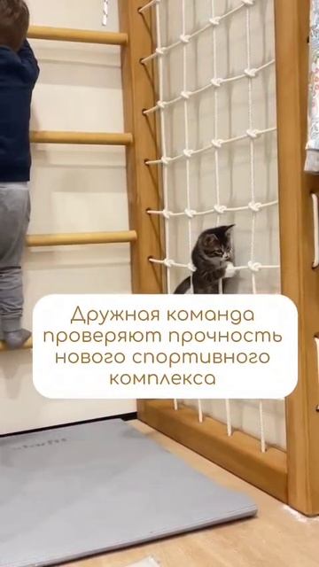 @krovatzamok - Спортивно-игровые комплексы из бука для детской комнаты ваших малышей.