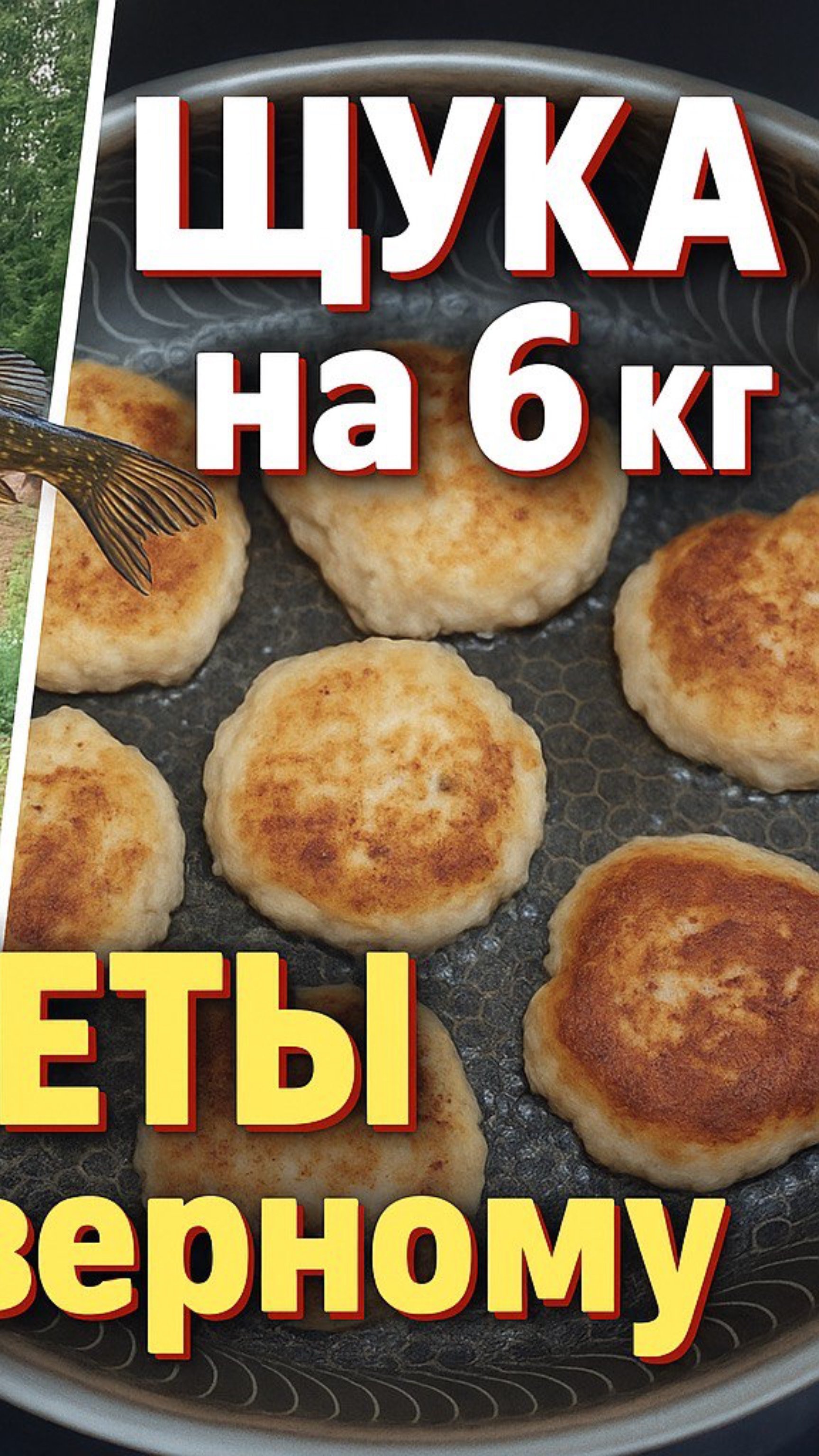 Щука на 6 кг и рецепт котлет по-северному! Мезенский район, река Кимжа 🐟