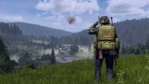 DAYZ Выживаем)