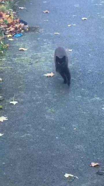 359
