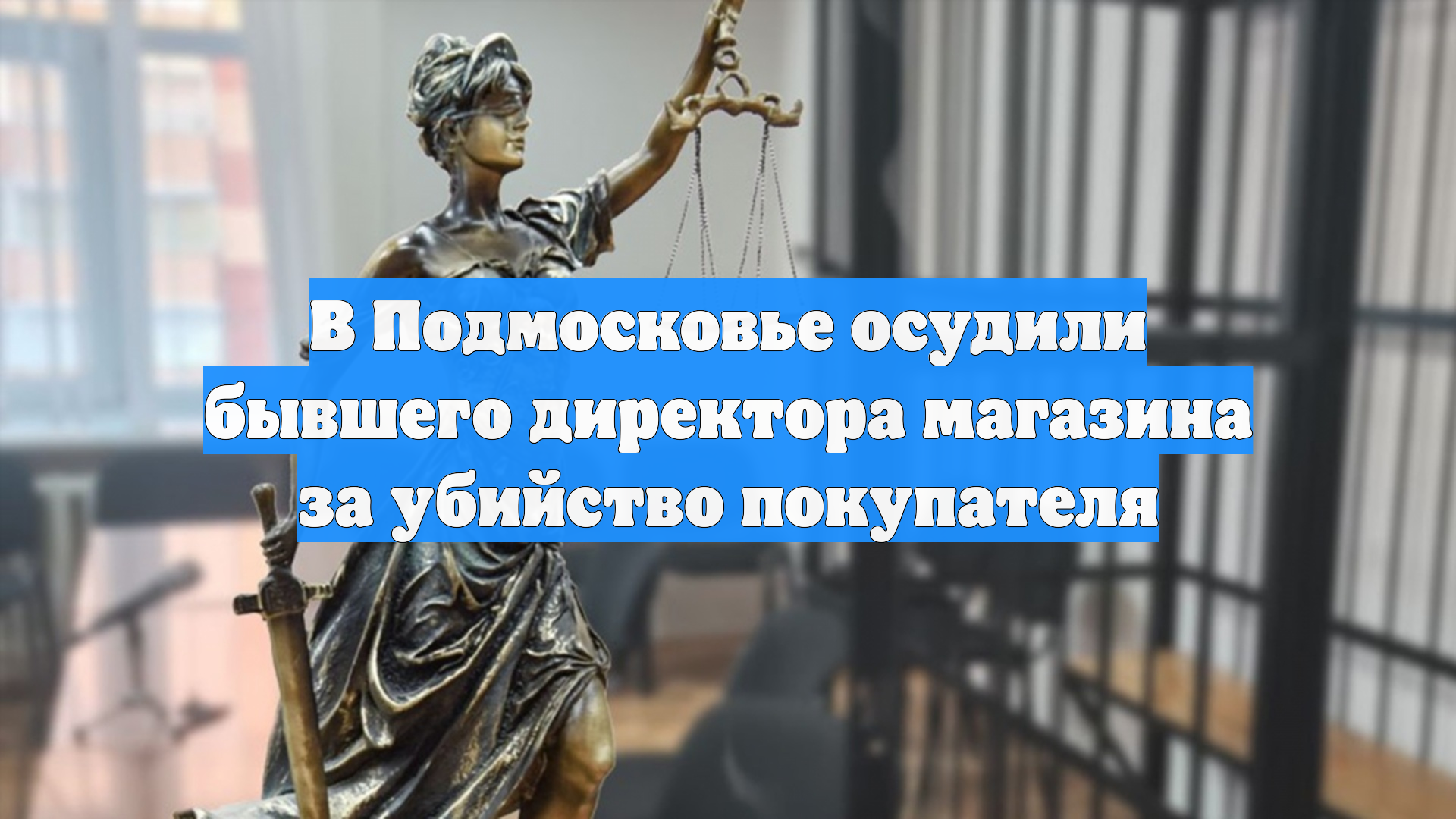 В Подмосковье осудили бывшего директора магазина за убийство покупателя