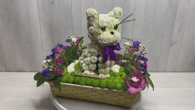 Кошечка из живых цветов