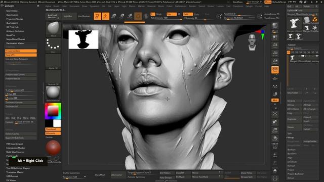 03_meshPrep