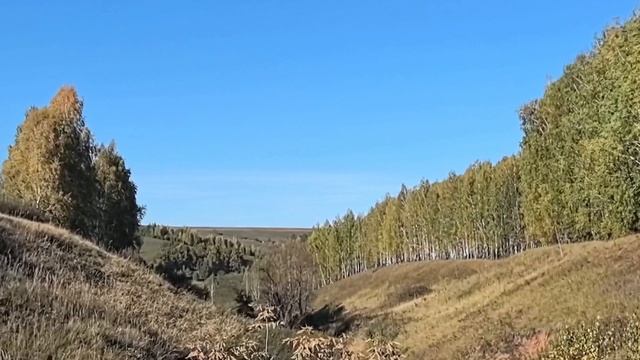 lv_0_20251012201016.mp4
