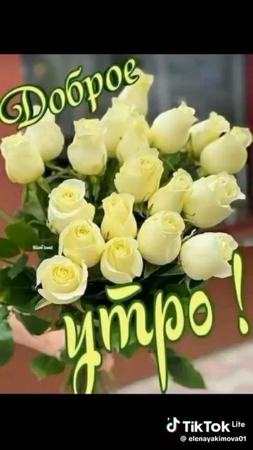 video_10253850842606.mp4
