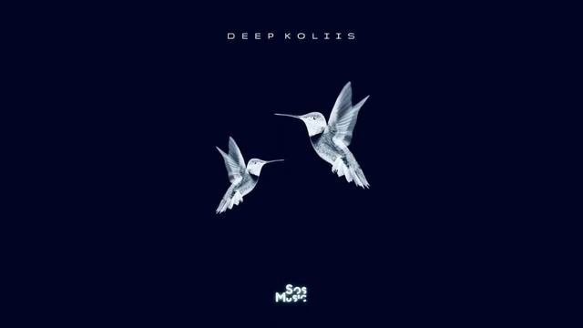 Deep Koliis   I Flew With Taba