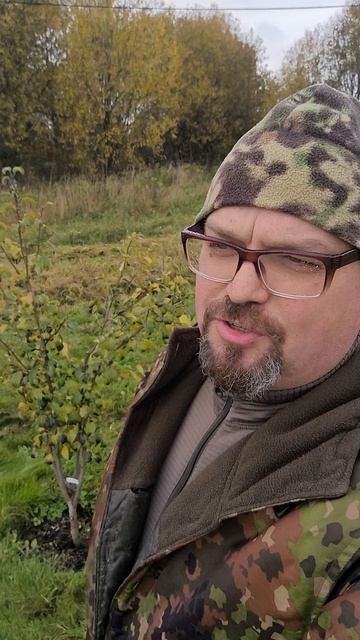 13 Октября подрезал кусты и деревья.