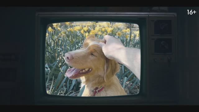 Трейлер фильма 
