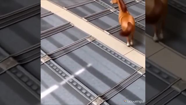 Сумочки. Мои работы. Ожившие животные.