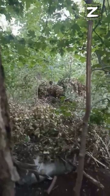СВО