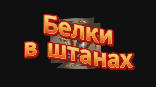 «Белки в штанах» (оригинальное название «Squirrels In My Pants») Забавная хип-хоп композиция.