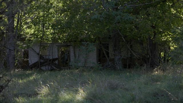 Полесский радиационно-экологический заповедник  2025