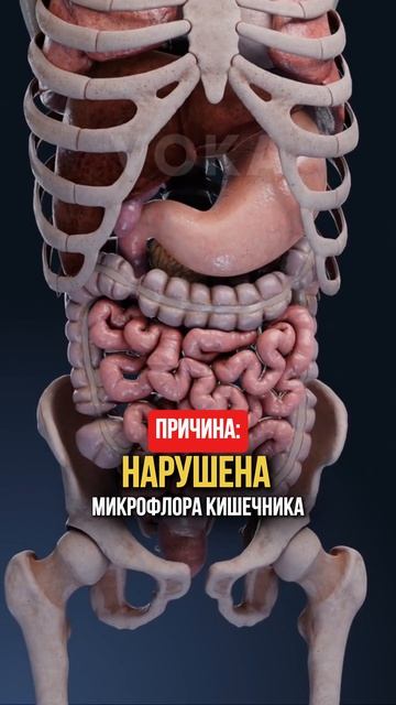 Причины всех болезней