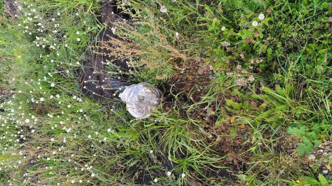 Красноярские подрядчики получили 25 млн за несуществующий водопровод