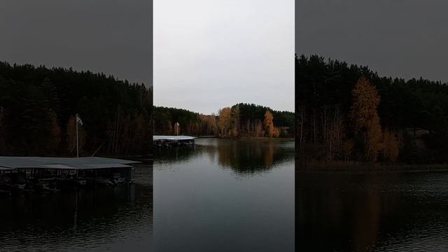 Жизнь уток осенью на реке в Сибири