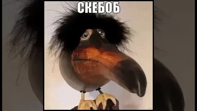 Г3 час гони