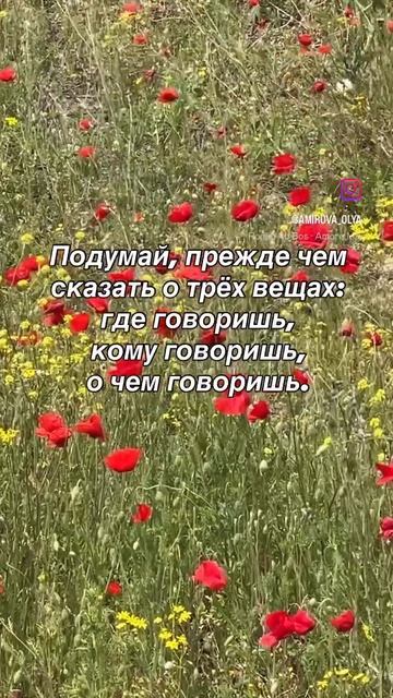 Мудрые советы