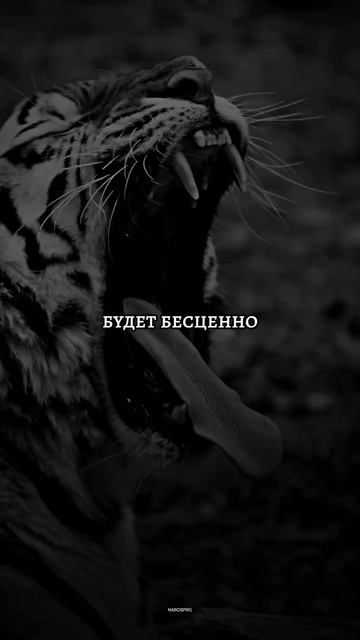#интересное #рек