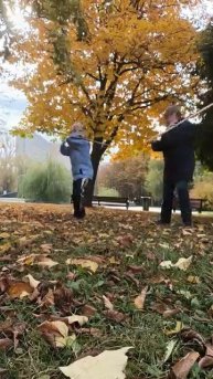 video_2025-10-13_14-45-06