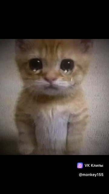 это пипец  кокимто вирусом заразился :(
