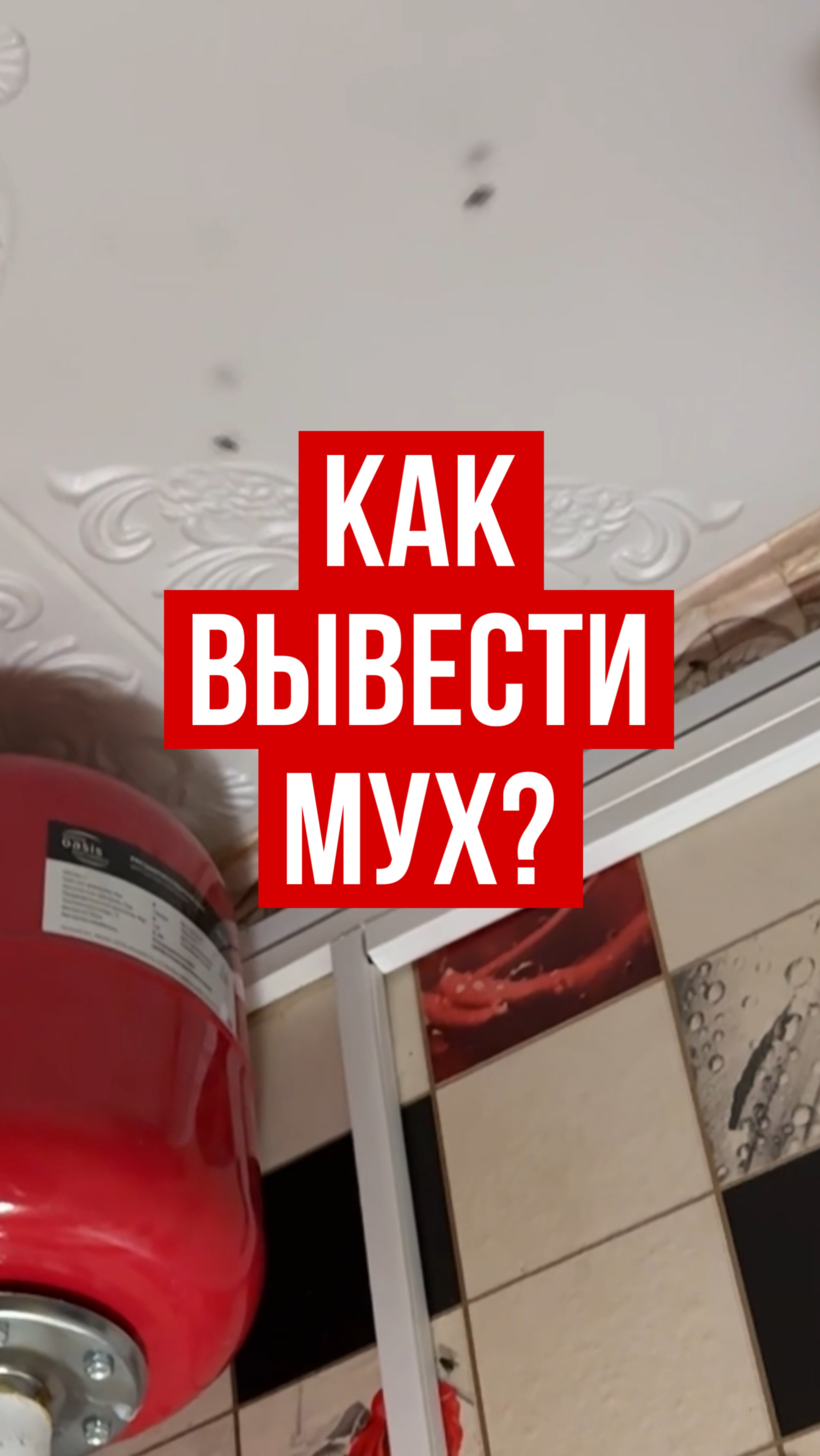 Как вывести мух?