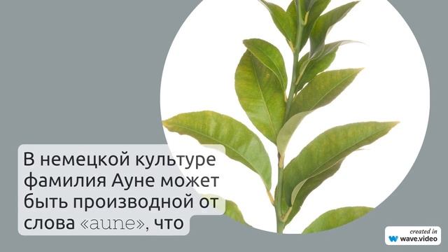Фамилия Ауне: история и происхождение, значения и особенности склонения