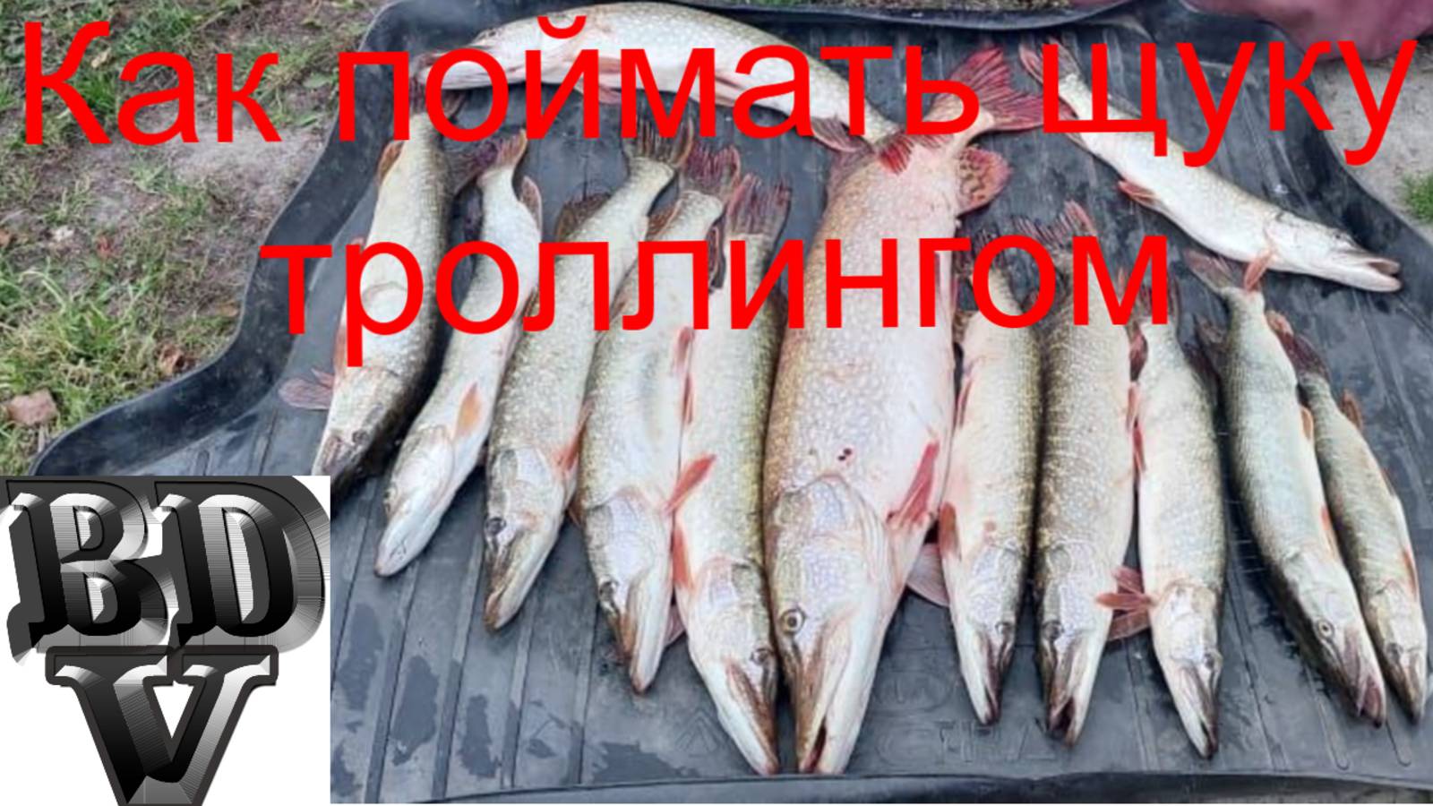 Как поймать щуку троллингом!!! Трофей  5.5 кг