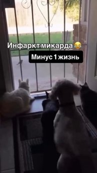 🌏 Вечер был тихим... 🤣