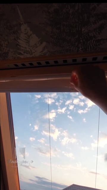 1000548036.mp4