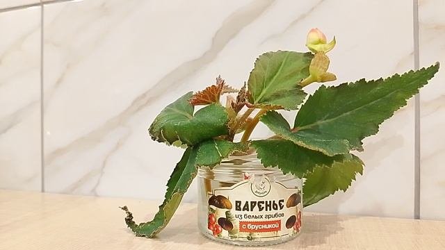 Докопаться до истины. Страничка надежды