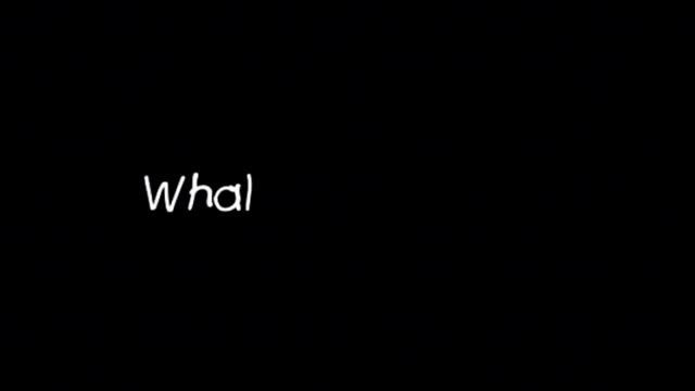 FF 4| Family And Friends 4 | Skills3.dvd