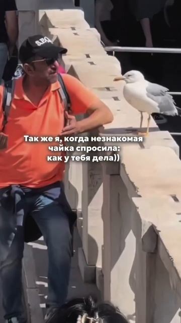Арт. Wb #216754000