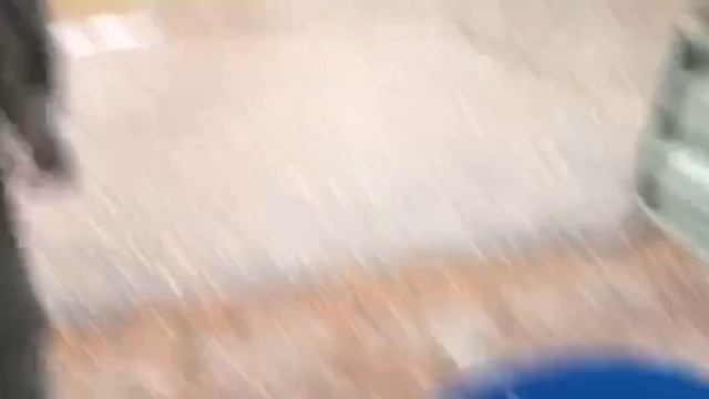 новый привоз форели на водоём