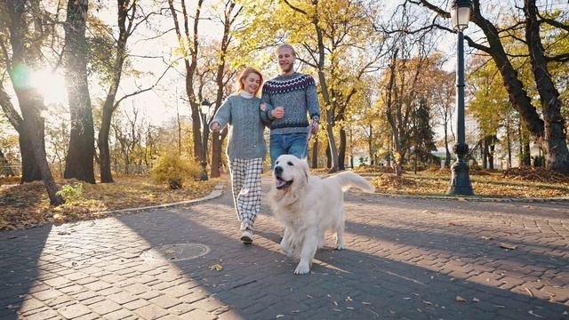 В осеннем золоте