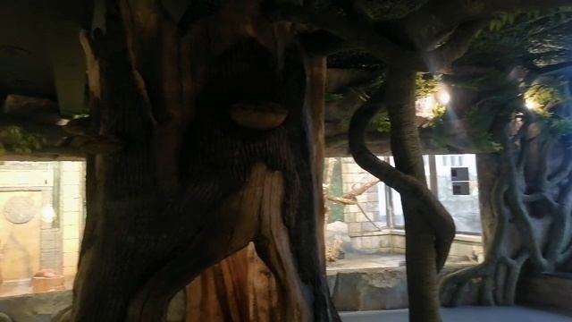 Школьные каникулы в Лазаревском Краснодарского края, 3. Пингвинарий 😉